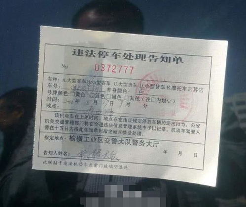 汽车罚款交罚款多少